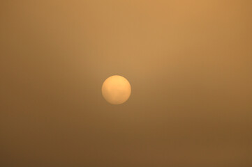 sun in the fog