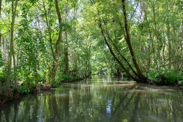 Marais poitevin