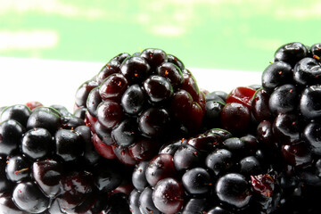 blackberry on a green background