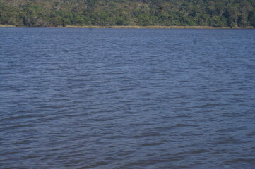 as águas de um belo e calmo lago azul com uma floresta ao fundo