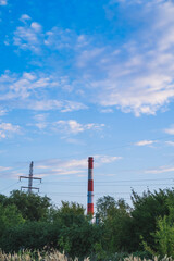 Oil refinery pipe behind trees near power lines. Vertical photo