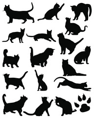 Set of vector silhouettes of cats. Collection of domestic cats. Cats. Black cat. Cat silhouette. Vector illustration.