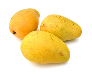 Yellow mango isolated on a white background