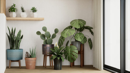 Lot de plantes d'intérieurs