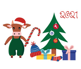 Cute cartoon Ox holding candy cane and put present boxes under Christmas tree.Happy Chinese New Year 2021 greetings.Seasonal sale,gift card or promo flyer template.Bull in santa hat.Family celebrating