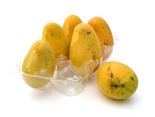 Yellow mango isolated in tray on a white background