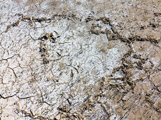 texture of dried cracked surface layer of the earth