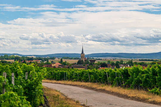 A view fom the Vineyard of the Church from Iphofen 