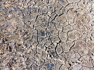 texture of dried cracked surface layer of the earth