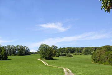 Geschwungener Weg in einer offenen Sommerlandschaft 