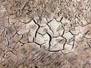 texture of dried cracked surface layer of the earth