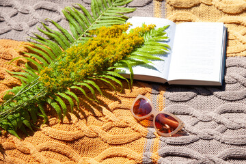 openopen book, meadow yellow flowers, fern leaves, sunglasses on a brown knitted blanket