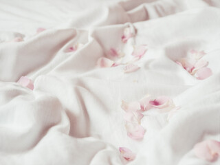 Pink rose petals on crumpled white fabric. Natural elegant decoration. Romantic background.