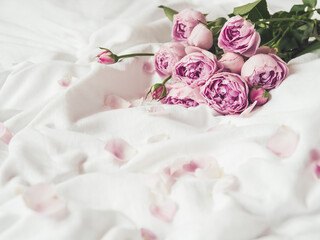 Pink roses and petals on crumpled white fabric. Natural elegant decoration. Romantic background.