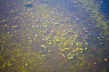 Background as a texture from a repeating pattern