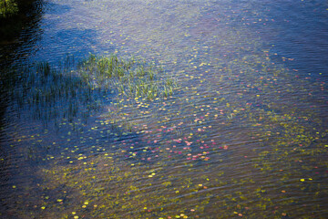 Background as a texture from a repeating pattern