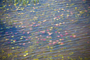 Background as a texture from a repeating pattern