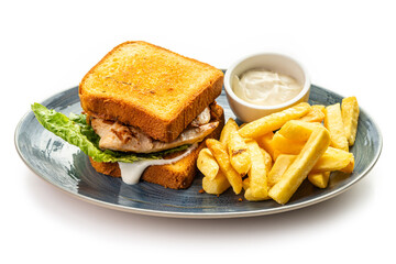 white toast and chicken breast sandwich, deep-fried potatoes and sauce on a blue plate