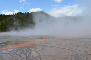 Late Spring in Yellowstone National Park: Bright Streamer From Steam-covered Grand Prismatic Spring...