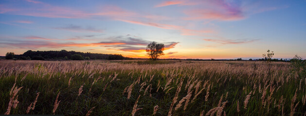 Wide panorama with red sunset and one tree on a center of frame