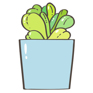 Live Cute Green Succulent, house plant in blue pot vector illustration