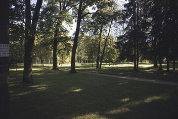 Photo Nature and architecture in the city. Beautiful views. Pushkin City, Russia