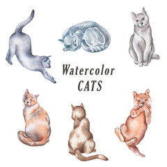Set of watercolor cats, watercolor animal, Pets