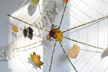 autumn craft made of natural material spider on a web surrounded by leaves