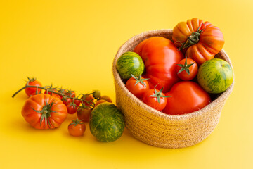 Fototapeta na wymiar Basket with a variety of tomatoes, including: Cherry, Heirloom and Zebra on a yellow background