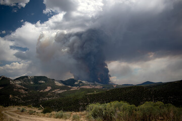 Pine Gulch Wildfire Colorado