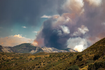 Fototapeta premium Pine Gulch Wildfire Colorado