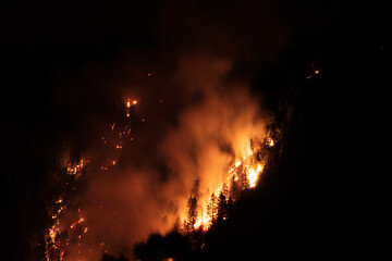 Fototapeta na wymiar Pine Gulch Wildfire Colorado