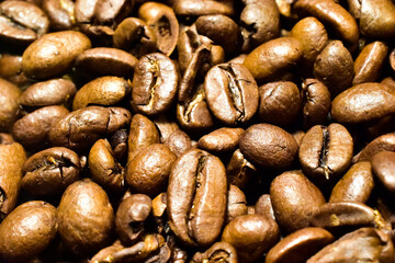 Fresh Roasted Coffee Beans Closeup Background