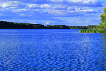 summer landscape with lake