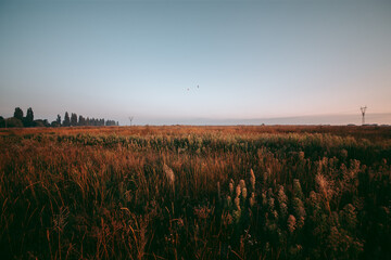 Beautiful wild eco environment near the city