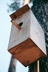 Beautiful wild eco environment near the city