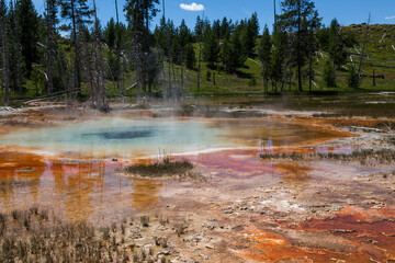 Culvert Geyser at Yellowstone National Park