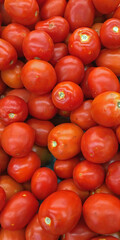 Fresh organic Roma tomatoes displayed for sale at a farm market stand