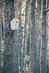 Beautiful wild eco environment near the city