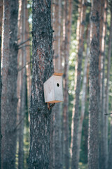 Beautiful wild eco environment near the city