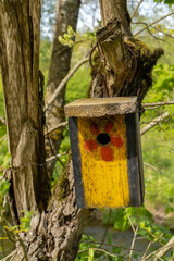 old nesting-box with a flower