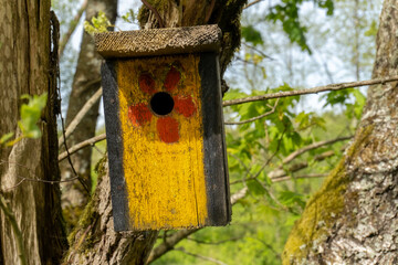 nesting-box with a flower