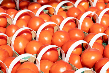 Red ripe tomatoes in baskets for sale at farmers market in Jacobs, Ontario, Canada.