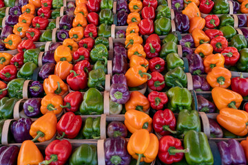 Green, orange, red and purple bell peppers in baskets for sale at farmers market in Jacobs, Ontario, Canada.
