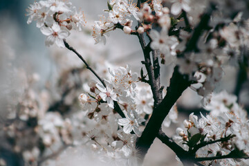 Beautiful wild eco environment near the city