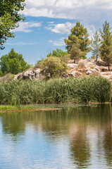 Summer Landscape with trees mountain and a blue sky with clouds near the city of Tecate in Baja California. Mexico