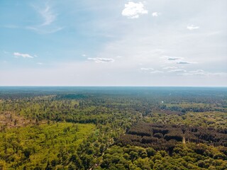 Green Trees Under Blue Sky