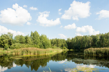 Little lake  with  forest in Noginsk area, Moscow region, Russia.