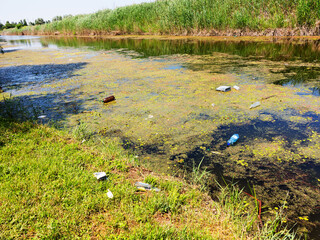 Pollution of Water. Wastewater. Pollution of the environment. Chemical and Biological Contamination. Eco Disaster.