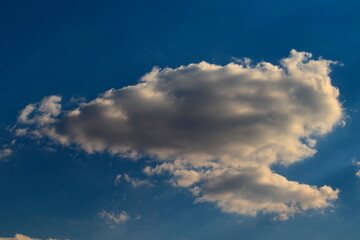 white backlit cumulus cloud floating under a blue sky covered in a very fine mist.